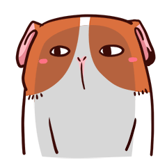 Lovely Cavy Animated Stickers messages sticker-6