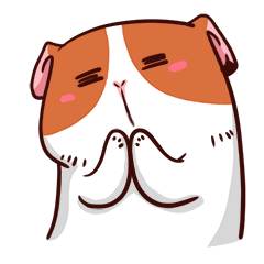 Lovely Cavy Animated Stickers messages sticker-0