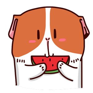 Lovely Cavy Animated Stickers messages sticker-8