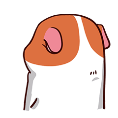 Lovely Cavy Animated Stickers messages sticker-9