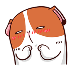 Lovely Cavy Animated Stickers messages sticker-3