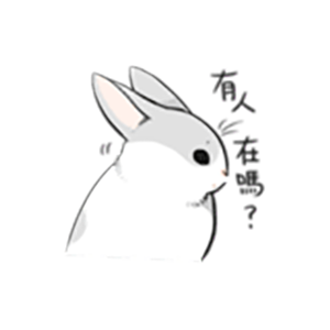 Cute White Rabbit Stickers messages sticker-0