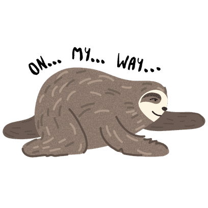 It's a Sloth Life Stickers messages sticker-3