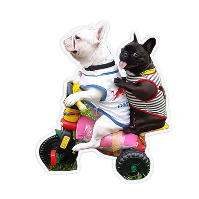 cute animal friends messages sticker-2