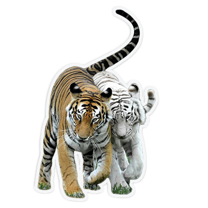 cute animal friends messages sticker-3