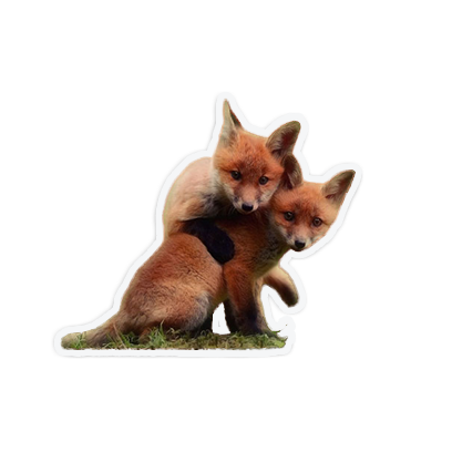 cute animal friends messages sticker-0