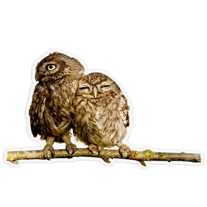 cute animal friends messages sticker-5