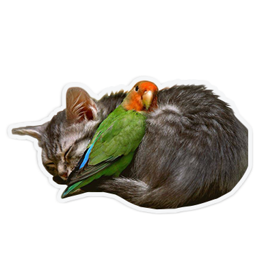 cute animal friends messages sticker-4