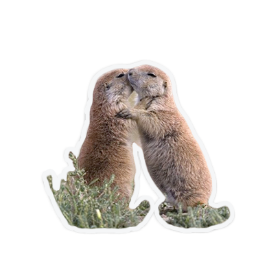 cute animal friends messages sticker-10