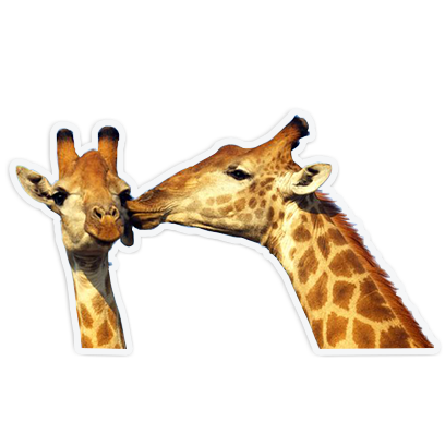 cute animal friends messages sticker-7