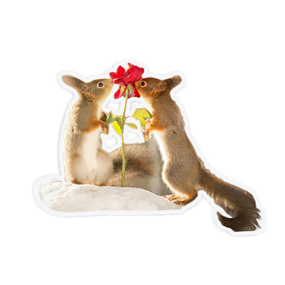 cute animal friends messages sticker-11