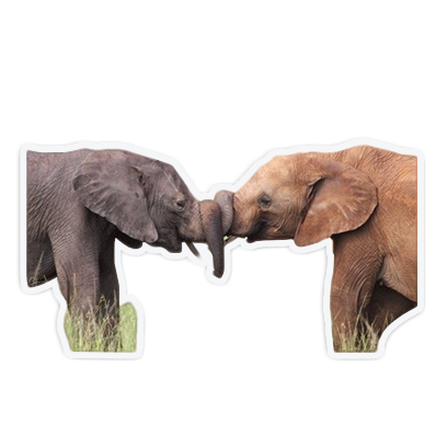 cute animal friends messages sticker-6