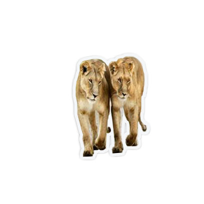 cute animal friends messages sticker-8