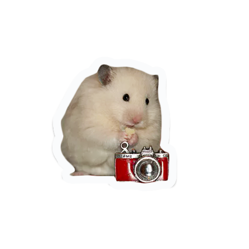 cute furry animal friends messages sticker-6