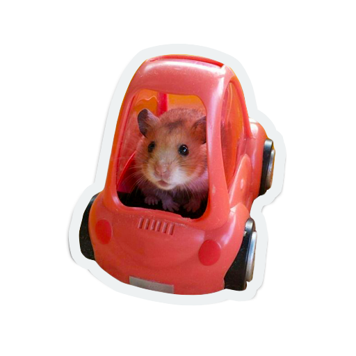 cute furry animal friends messages sticker-2