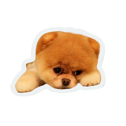 cute animals: sad and lonely messages sticker-6