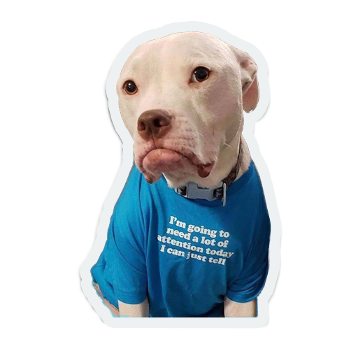 cute animals: sad and lonely messages sticker-5