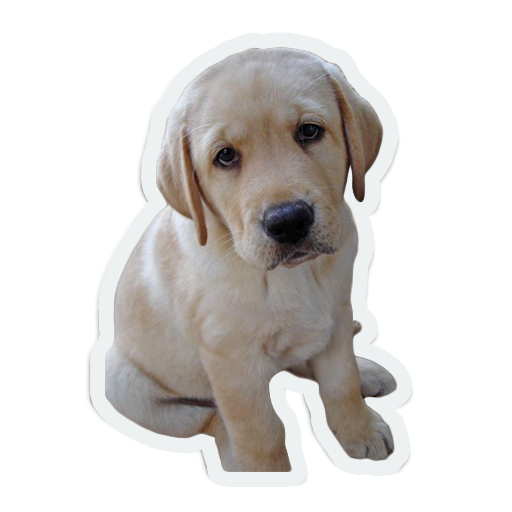 cute animals: sad and lonely messages sticker-4