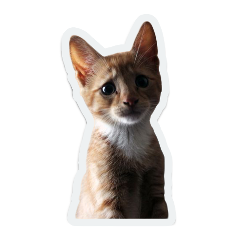 cute animals: sad and lonely messages sticker-10