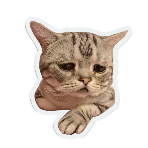cute animals: sad and lonely messages sticker-11