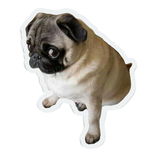 cute animals: sad and lonely messages sticker-1