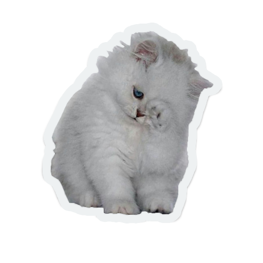 cute animals: sad and lonely messages sticker-9
