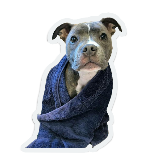 cute animals: sad and lonely messages sticker-7
