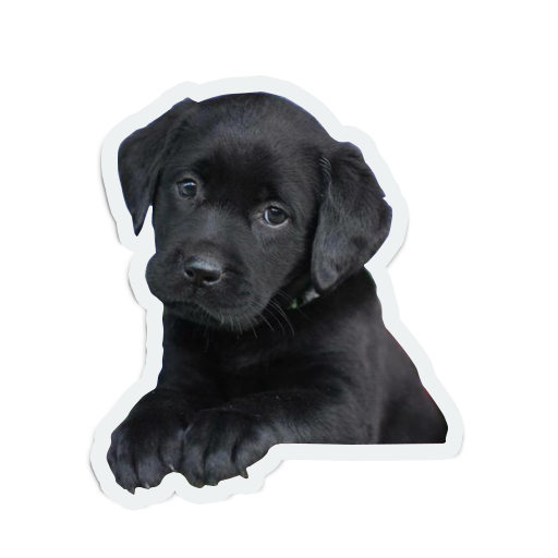 cute animals: sad and lonely messages sticker-3