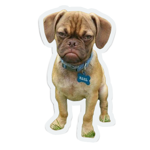cute animals: sad and lonely messages sticker-2