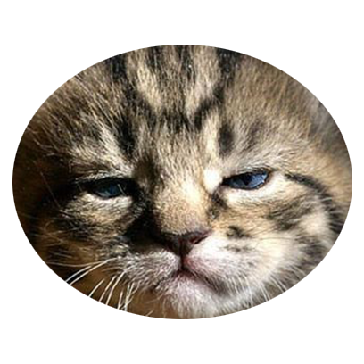 Facecats messages sticker-7