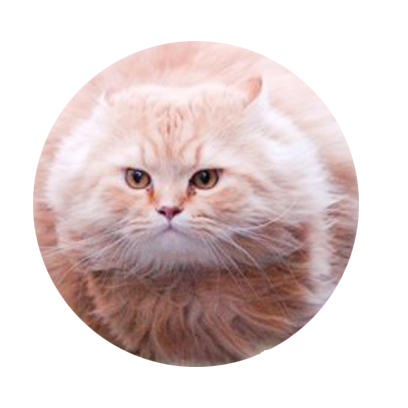 Facecats messages sticker-0