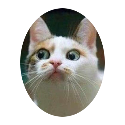 Facecats messages sticker-3