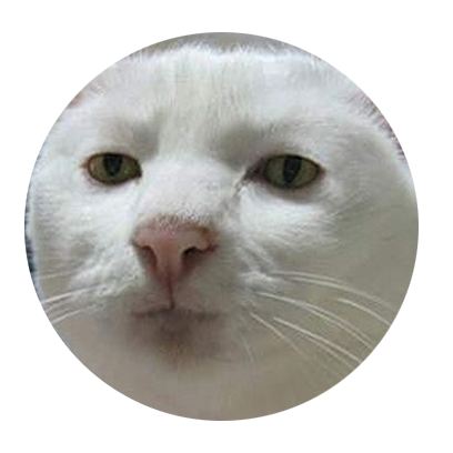 Facecats messages sticker-5