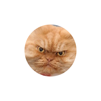 Facecats messages sticker-8