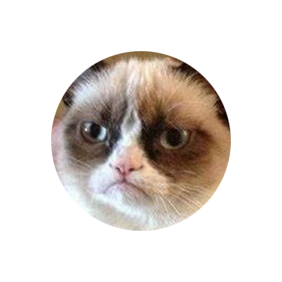 Facecats messages sticker-4