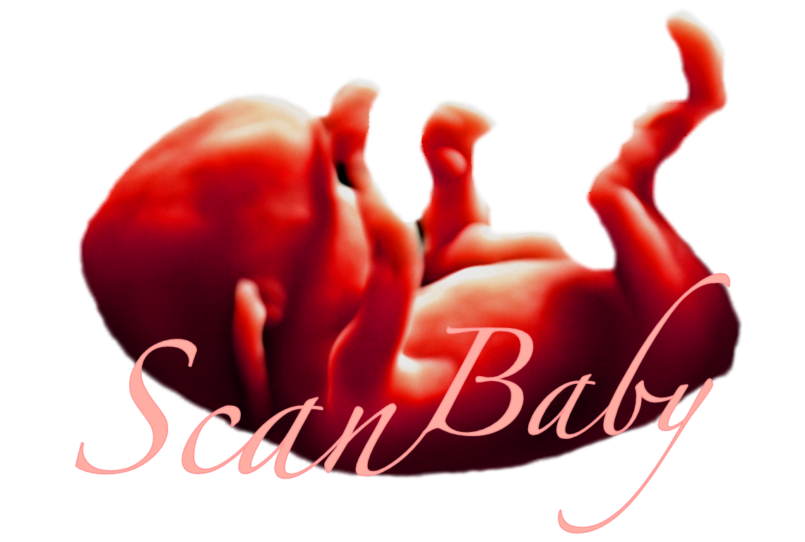 ScanBaby learn baby ultrasound messages sticker-2
