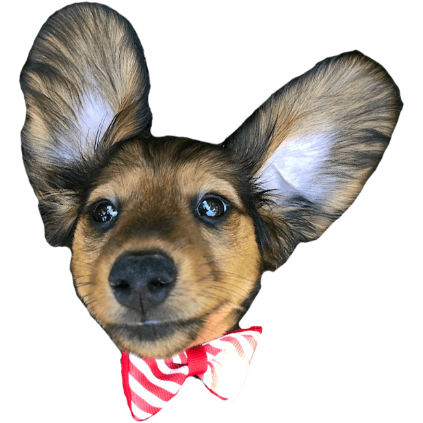 V Shred Stickers messages sticker-6
