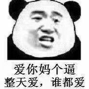 Panda Stickers messages sticker-3