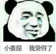 Panda Stickers messages sticker-9