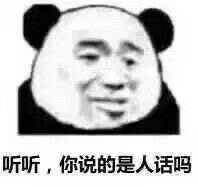 Panda Stickers messages sticker-11