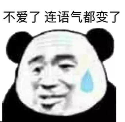 Panda Stickers messages sticker-6