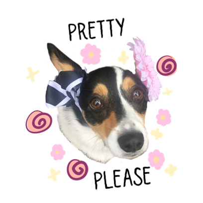 Josie the Chicago Corgi messages sticker-2