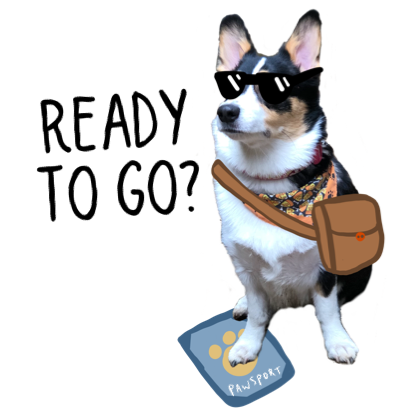 Josie the Chicago Corgi messages sticker-3