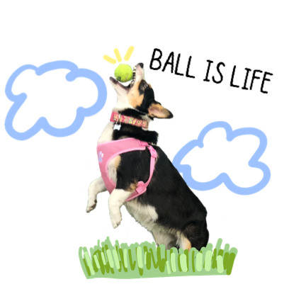 Josie the Chicago Corgi messages sticker-4