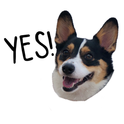 Josie the Chicago Corgi messages sticker-8