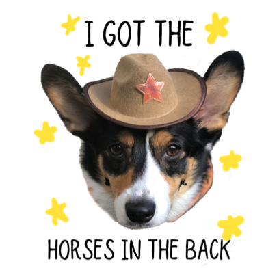 Josie the Chicago Corgi messages sticker-1