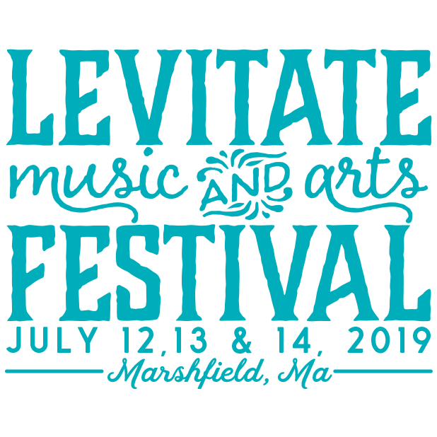 Levitate Festival messages sticker-9