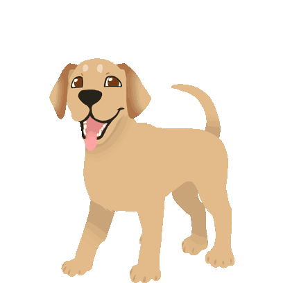 Pet World – My Animal Hospital messages sticker-2