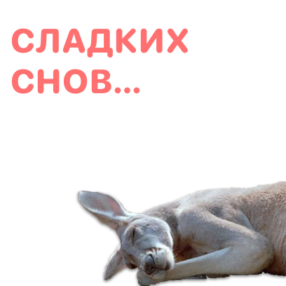Sticky Kangaroo messages sticker-7