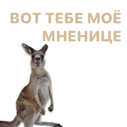 Sticky Kangaroo messages sticker-10